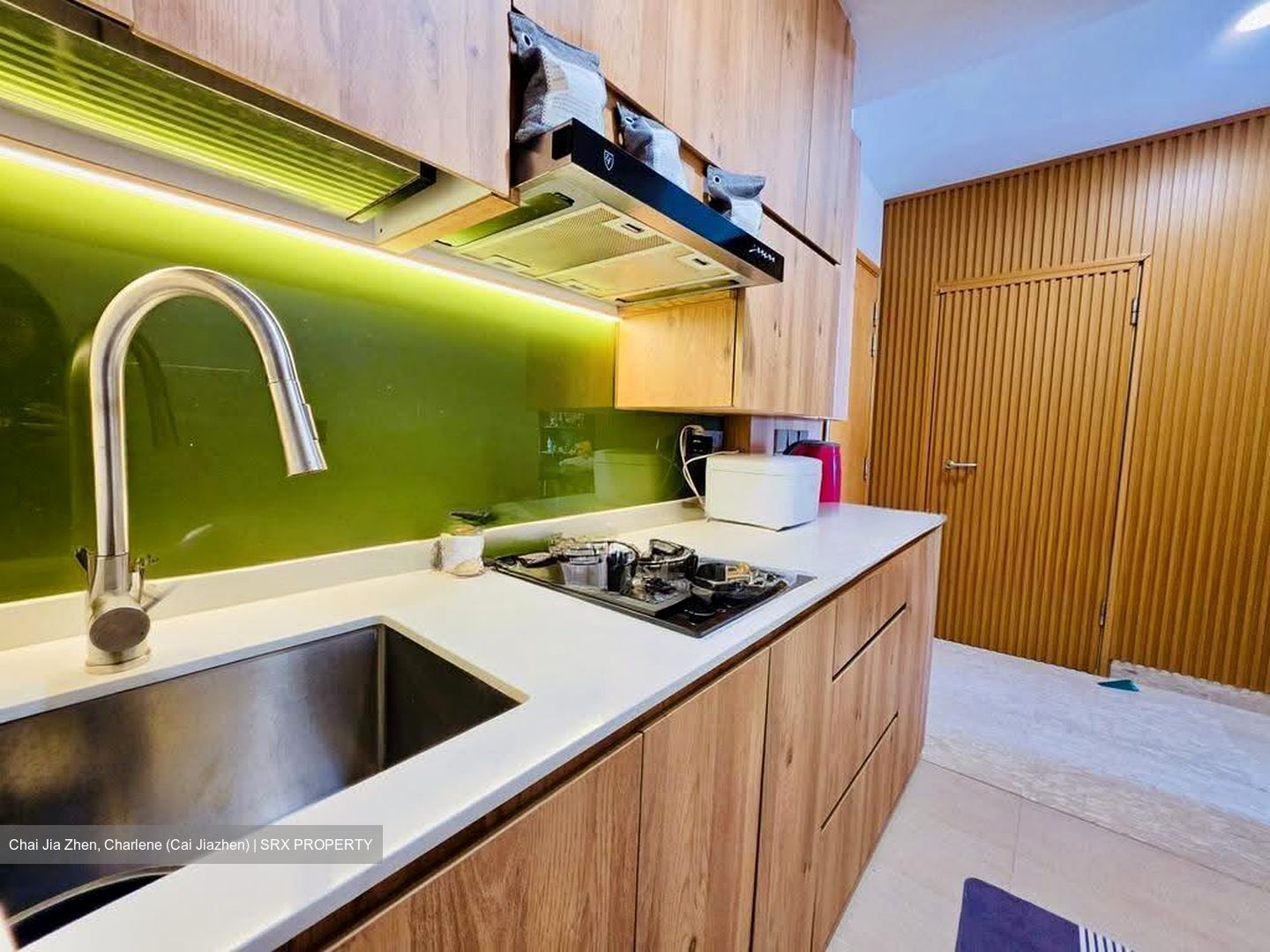 Parc Bleu (D15), Apartment #639657741